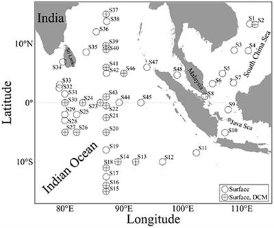 Acutely Rising Temperature Reduces Photosynthetic Capacity of Phytoplankton Assemblages in Tropical Oceans: A Large-Scale Investigation